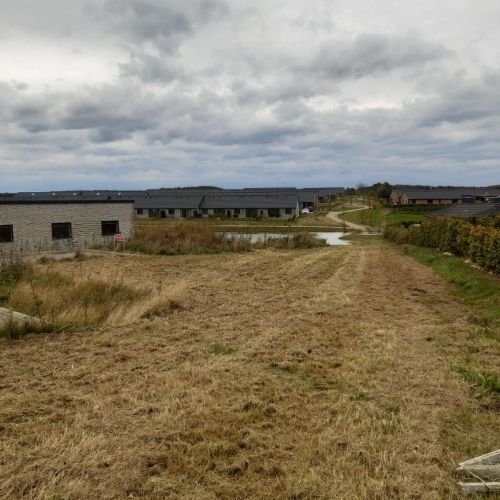 Græsslåning med slagleklipper på Fyn, nær Odense og Nyborg
