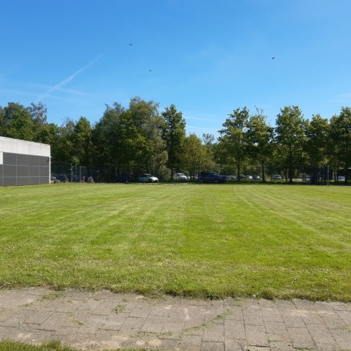 Græsslåning i Odense på Fyn