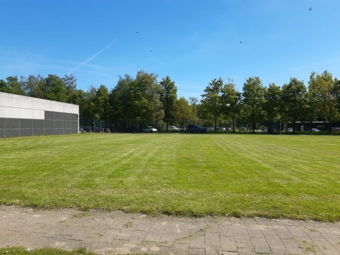 Græsslåning i Odense på Fyn