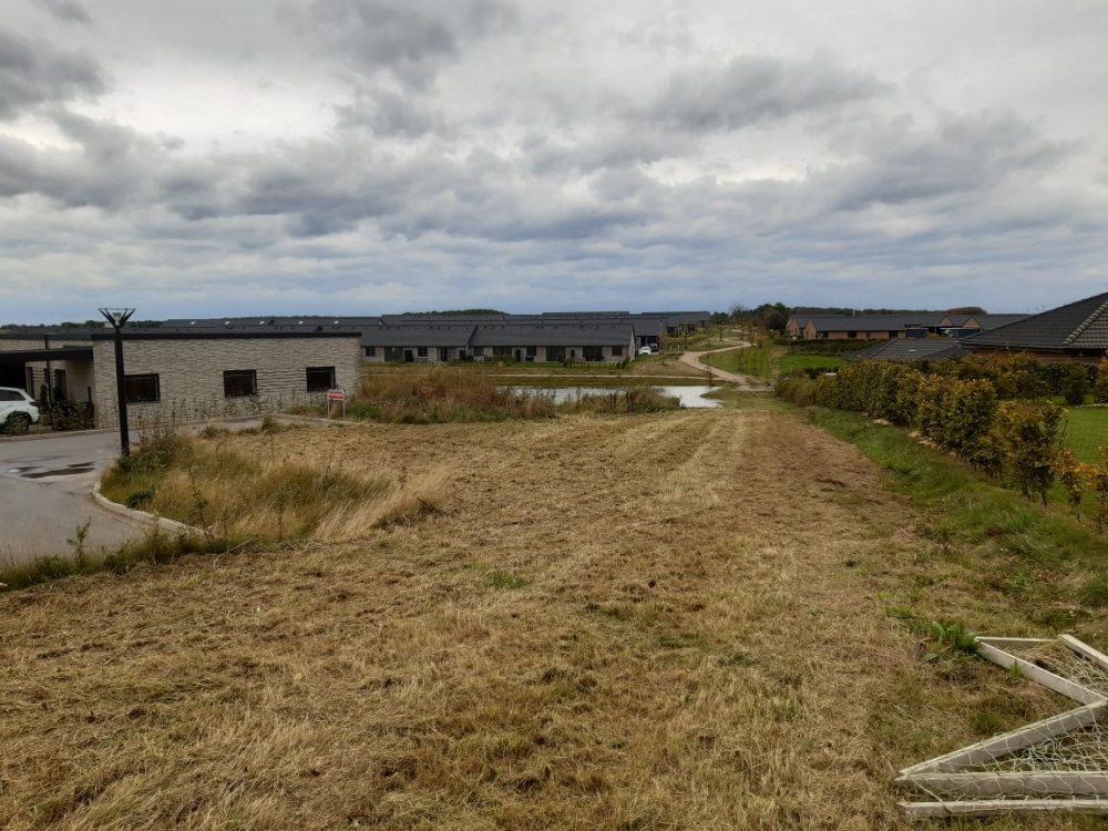 Græsslåning med slagleklipper på Fyn, nær Odense og Nyborg